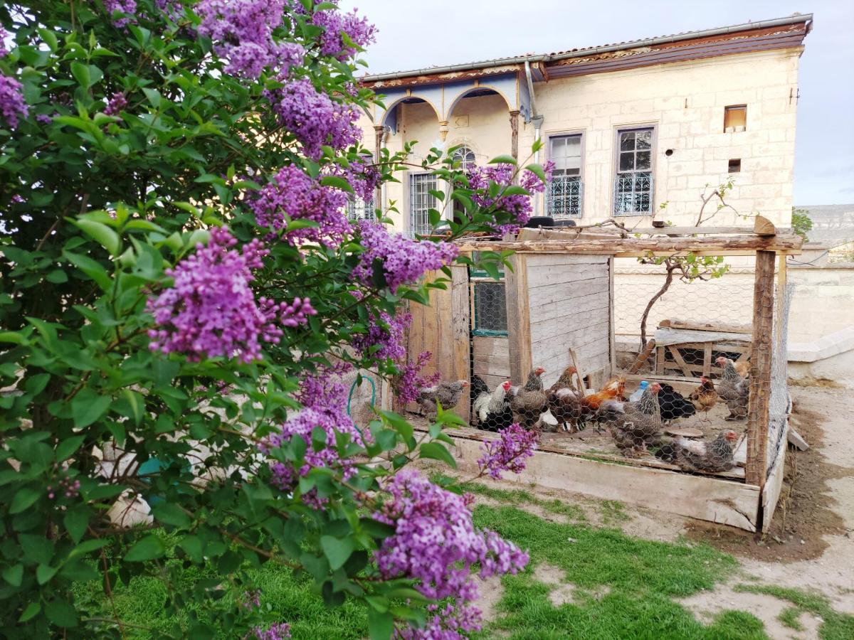 Armesos Cave Hotel Ürgüp Exterior photo