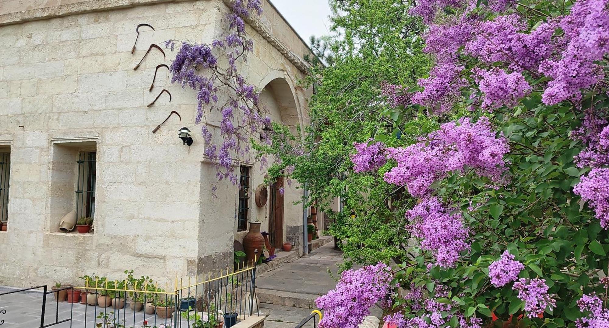 Armesos Cave Hotel Ürgüp Exterior photo
