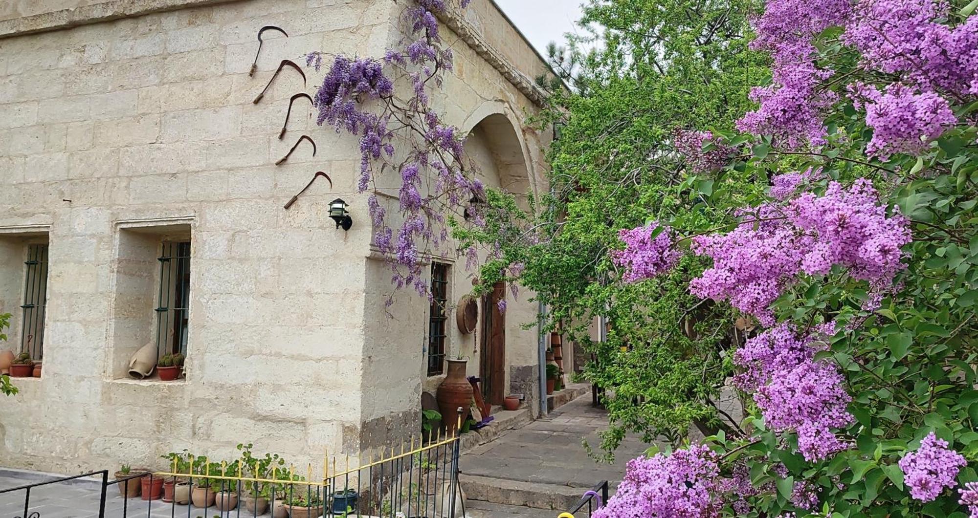 Armesos Cave Hotel Ürgüp Exterior photo